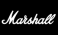Marshall Headphones